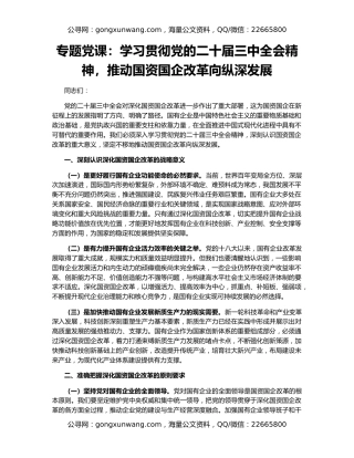 专题党课：学习贯彻党的二十届三中全会精神，推动国资国企改革向纵深发展