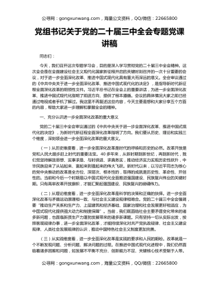 党组书记关于党的二十届三中全会专题党课讲稿