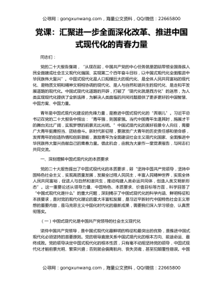 党课：汇聚进一步全面深化改革、推进中国式现代化的青春力量