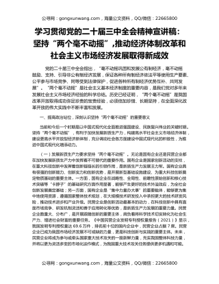 学习贯彻党的二十届三中全会精神宣讲稿：坚持“两个毫不动摇”,推动经济体制改革和社会主义市场经济发展取得新成效