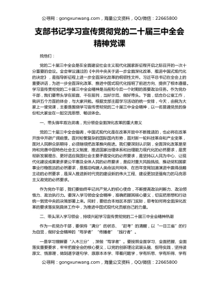 支部书记学习宣传贯彻党的二十届三中全会精神党课