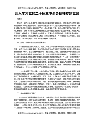 深入学习党的二十届三中全会精神专题党课