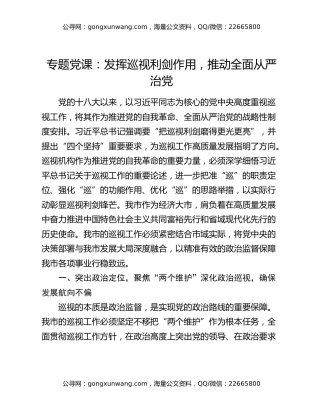 专题党课：发挥巡视利剑作用，推动全面从严治党