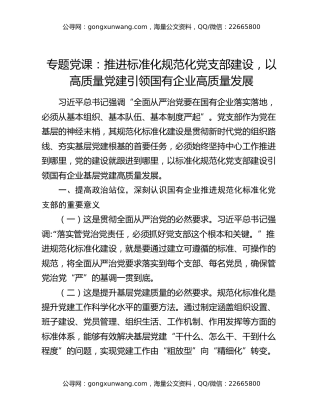 专题党课：推进标准化规范化党支部建设，以高质量党建引领国有企业高质量发展