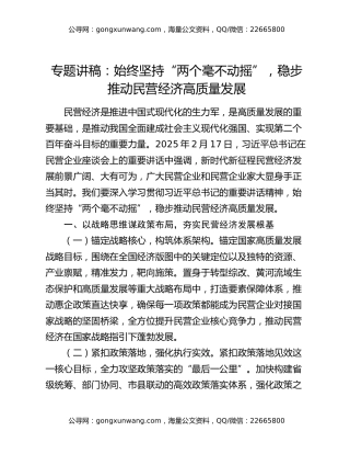 专题讲稿：始终坚持“两个毫不动摇”，稳步推动民营经济高质量发展