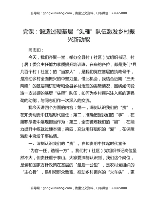 党课：锻造过硬基层“头雁”队伍激发乡村振兴新动能