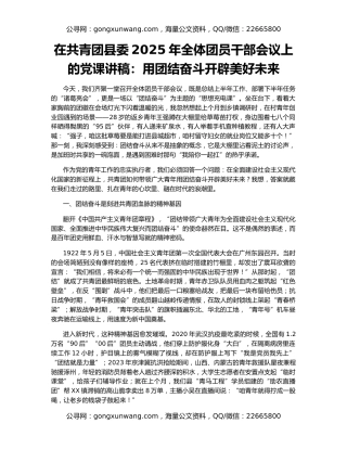 在共青团县委2025年全体团员干部会议上的党课讲稿：用团结奋斗开辟美好未来