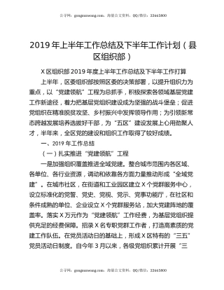 2019年上半年工作总结及下半年工作计划（县区组织部）