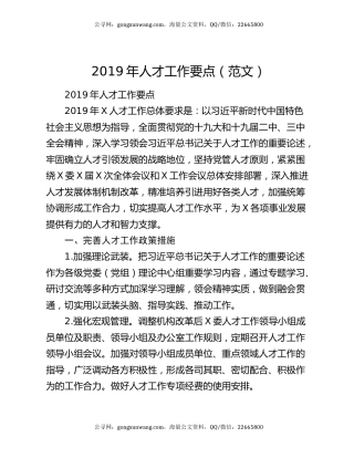 2019年人才工作要点（范文）