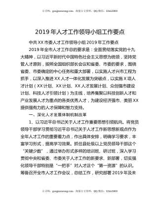 2019年人才工作领导小组工作要点