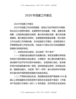 2020年党建工作意见