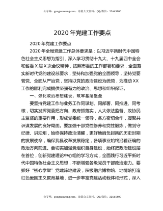 2020年党建工作要点（3）