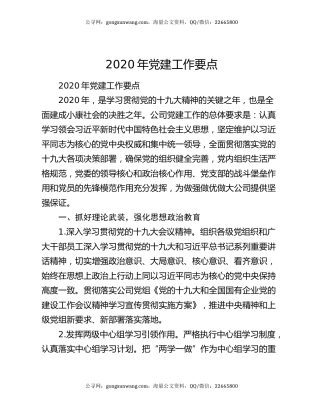 2020年党建工作要点（4）