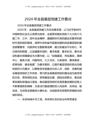 2020年全县基层党建工作要点