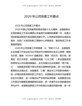 2020年公司党委工作要点（2）