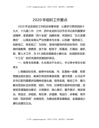 2020年组织工作要点