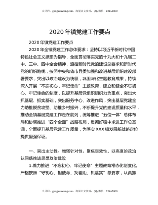 2020年镇党建工作要点