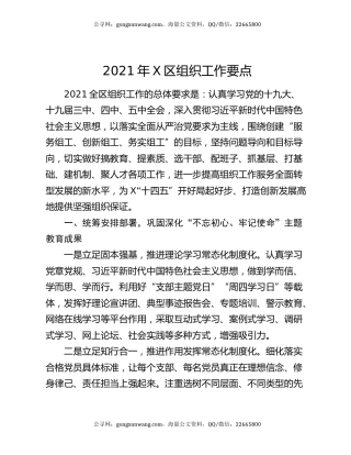 2021年X区组织工作要点