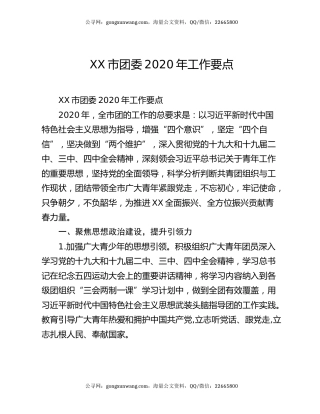 XX市团委2020年工作要点