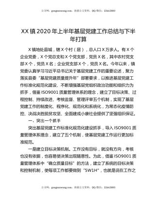 XX镇2020年上半年基层党建工作总结与下半年打算