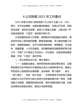 X公司党委2021年工作要点（2）