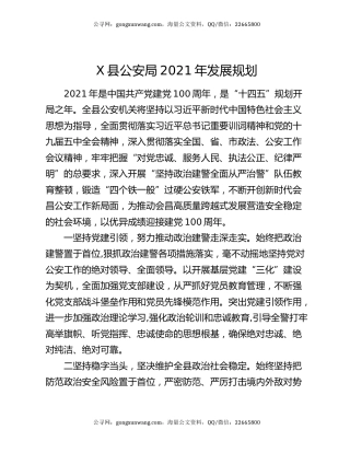 X县公安局2021年发展规划
