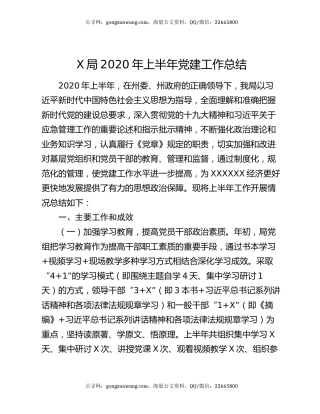 X局2020年上半年党建工作总结