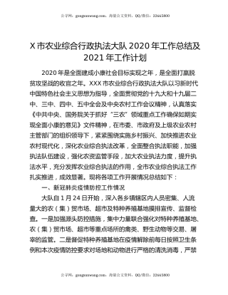X市农业综合行政执法大队2020年工作总结及2021年工作计划