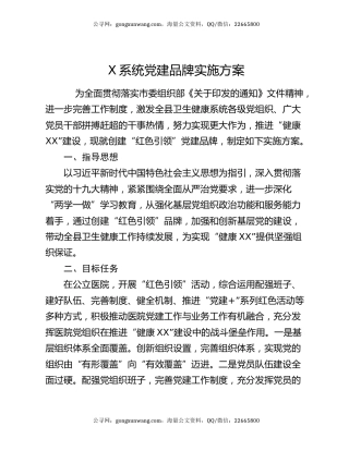 X系统党建品牌实施方案