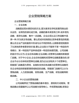 企业营销策略方案
