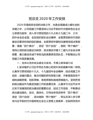 党总支2020年工作安排