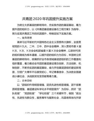 共青团2020年巩固提升实施方案