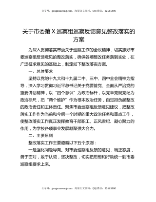 关于市委第X巡察组巡察反馈意见整改落实的方案