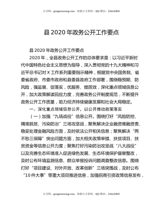 县2020年政务公开工作要点