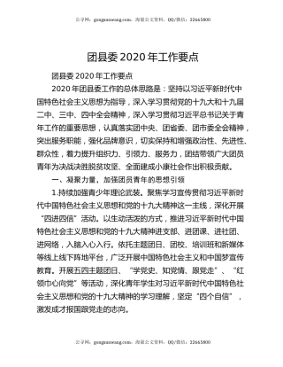 团县委2020年工作要点