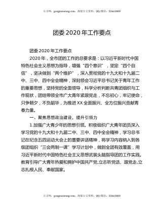 团委2020年工作要点
