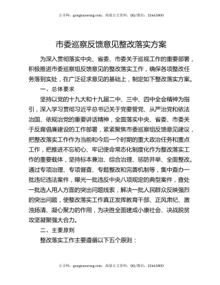 市委巡察反馈意见整改落实方案