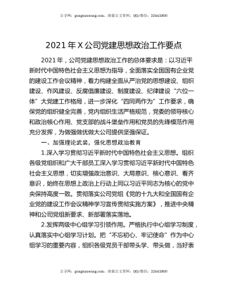 2021年X公司党建思想政治工作要点