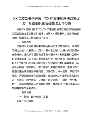XX党支部关于开展“XX严重违纪违法以案促改”专题组织生活会整改工作方案
