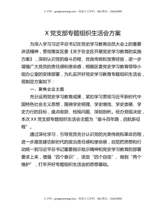 X党支部专题组织生活会方案