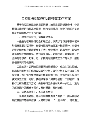 X党组书记巡察反馈整改工作方案