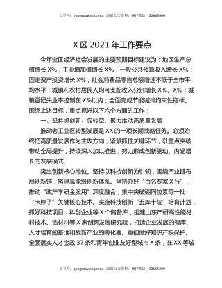 X区2021年工作要点