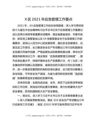 X区2021年应急管理工作要点