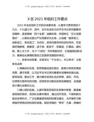 X区2021年组织工作要点
