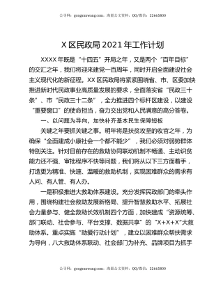 X区民政局2021年工作计划
