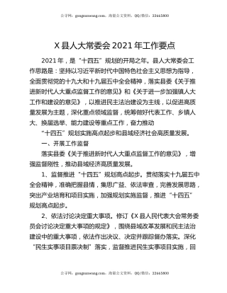 X县人大常委会2021年工作要点