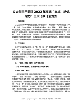 X大型三甲医院2022年实施“举旗、培优、增力”三大飞跃计划方案