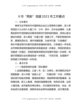 X市“两新”党建2021年工作要点