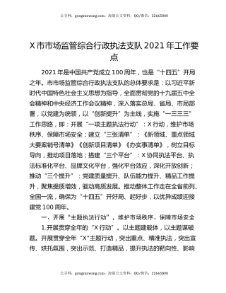 X市市场监管综合行政执法支队2021年工作要点