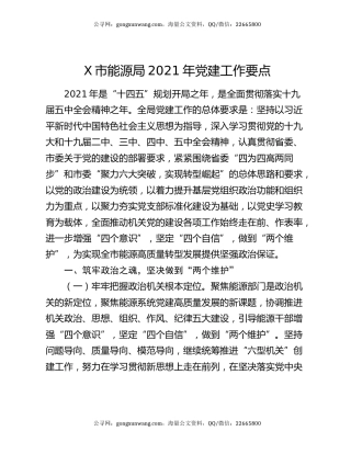 X市能源局2021年党建工作要点
